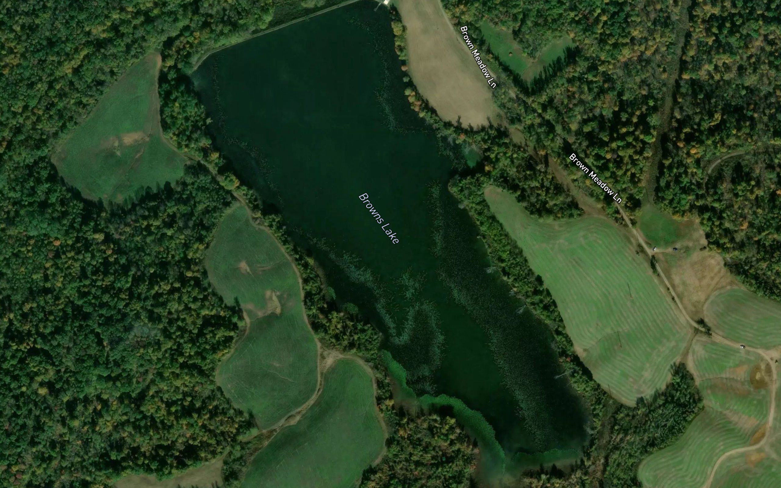 Browns Lake