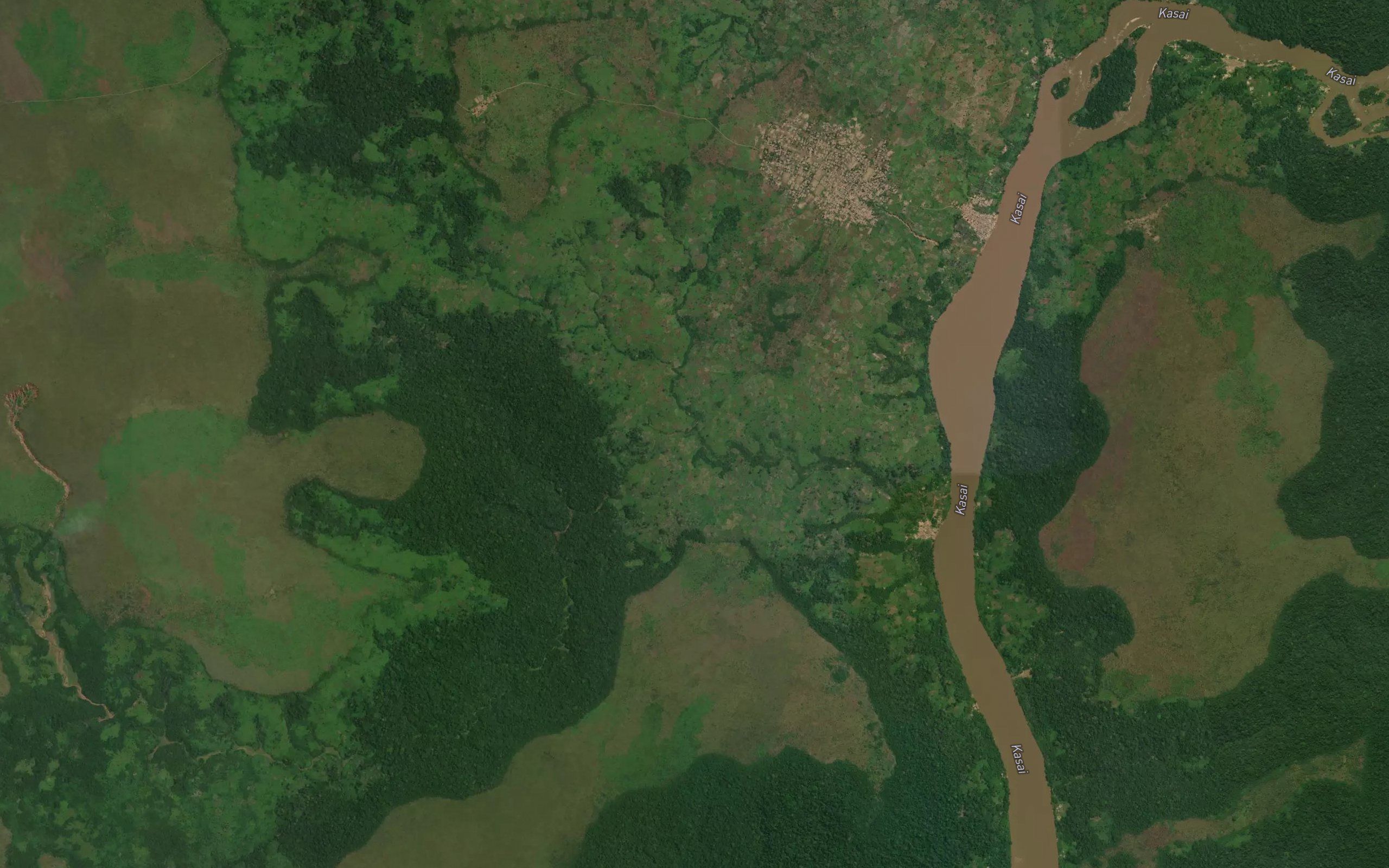 Kingondo