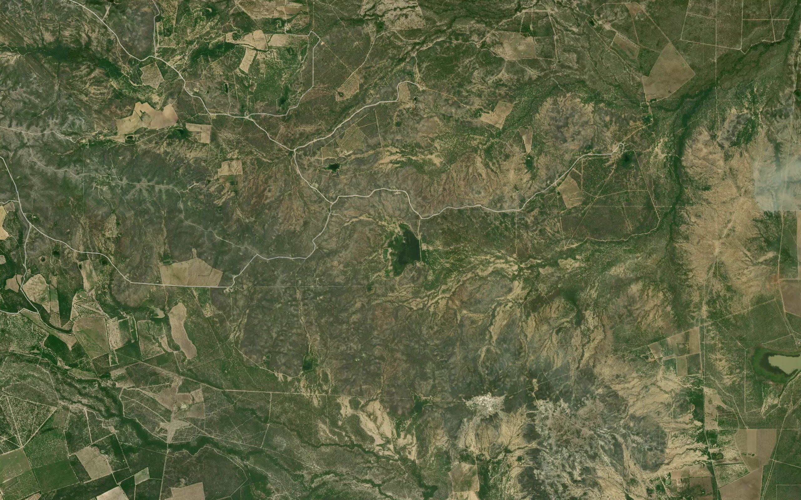 El Guayacan