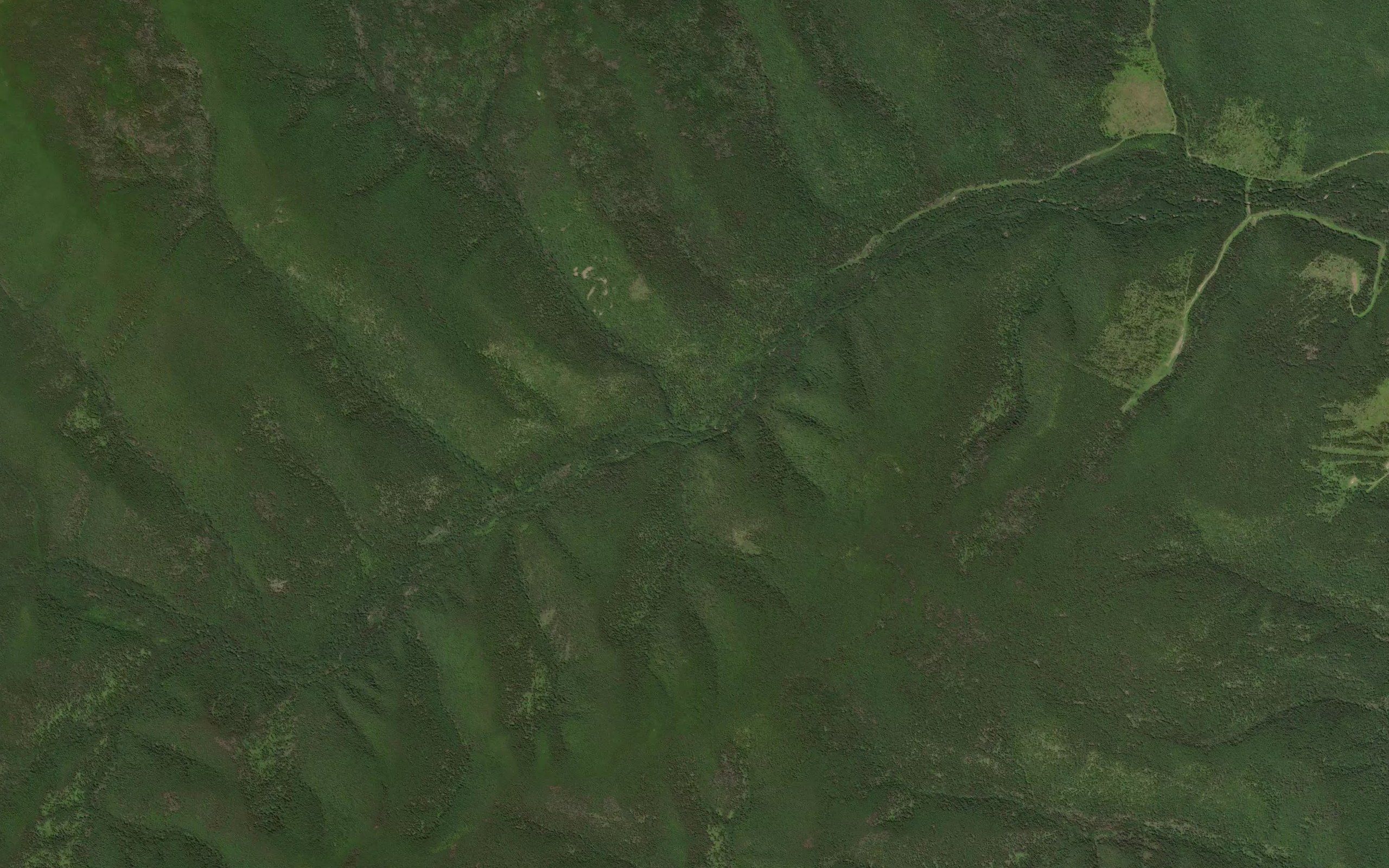 Metsa