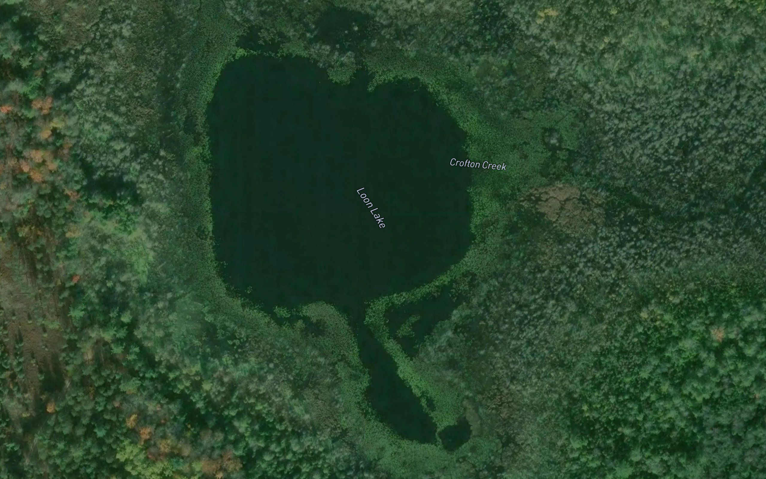 Loon Lake