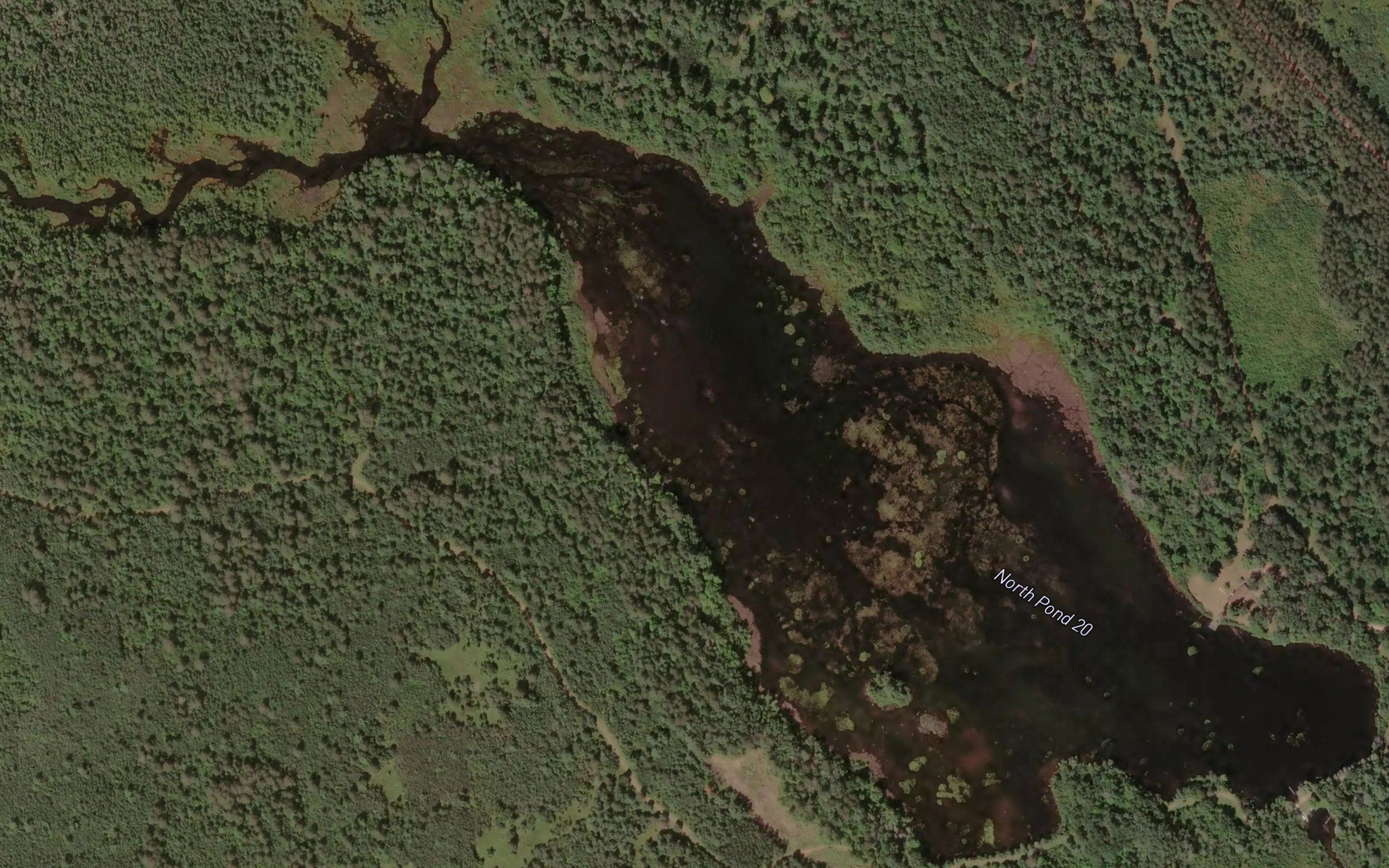 North Pond
