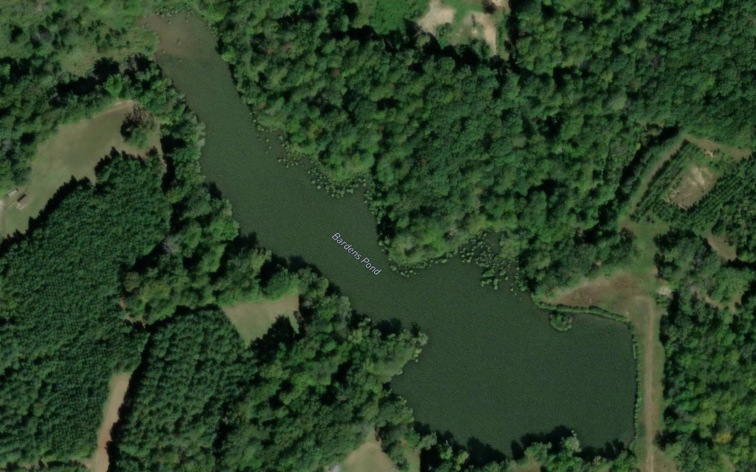 Bardens Pond