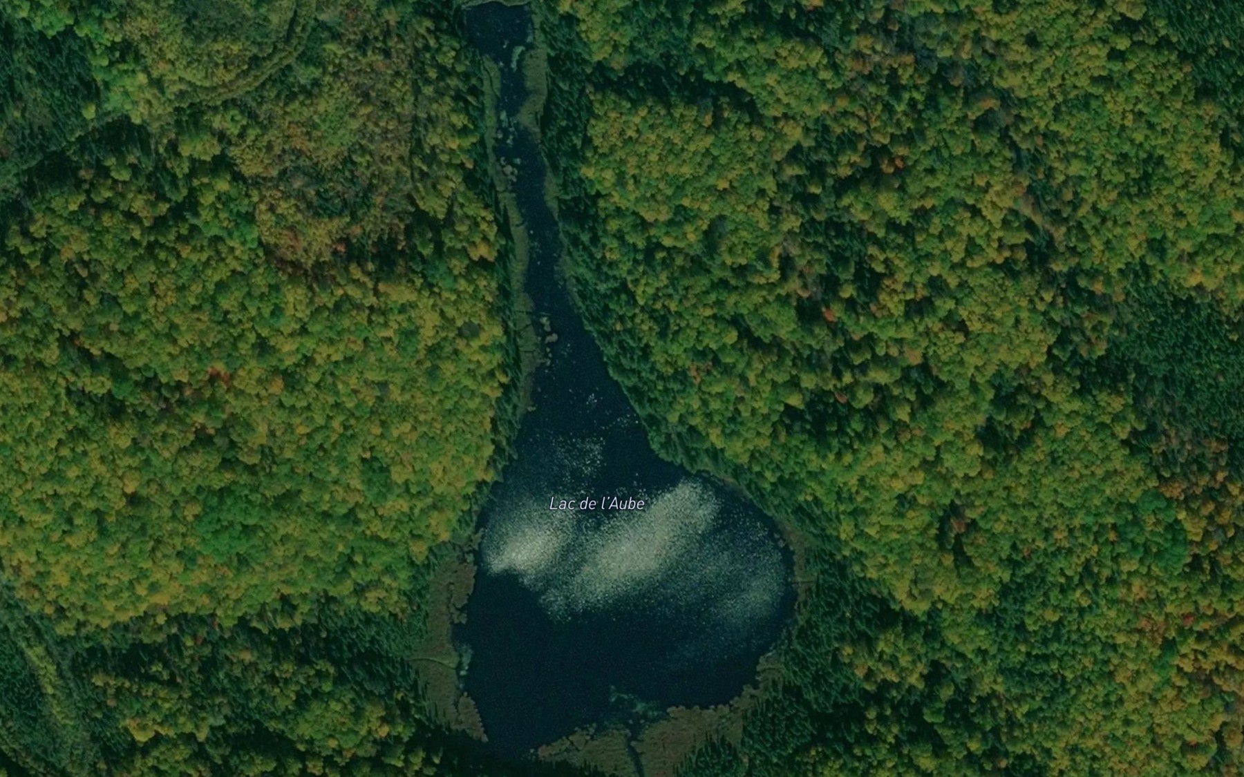 Satellite map of the Lac de l'Aube