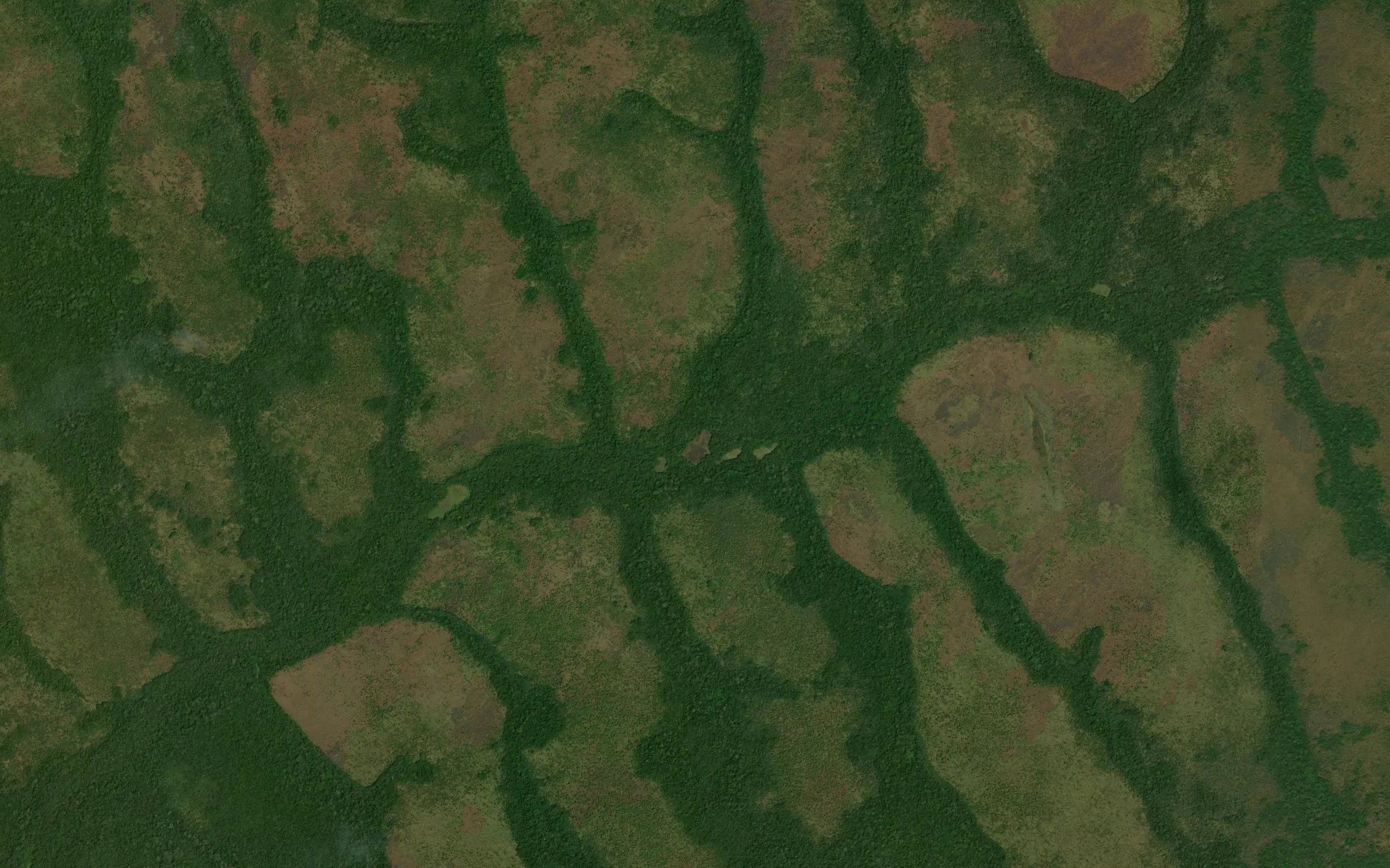 Yakua