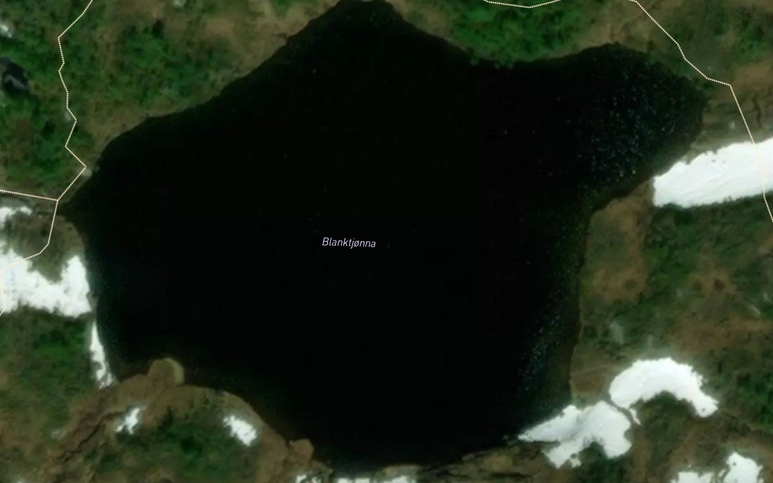 Blanktjorna