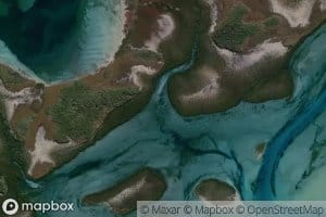 Dog Island