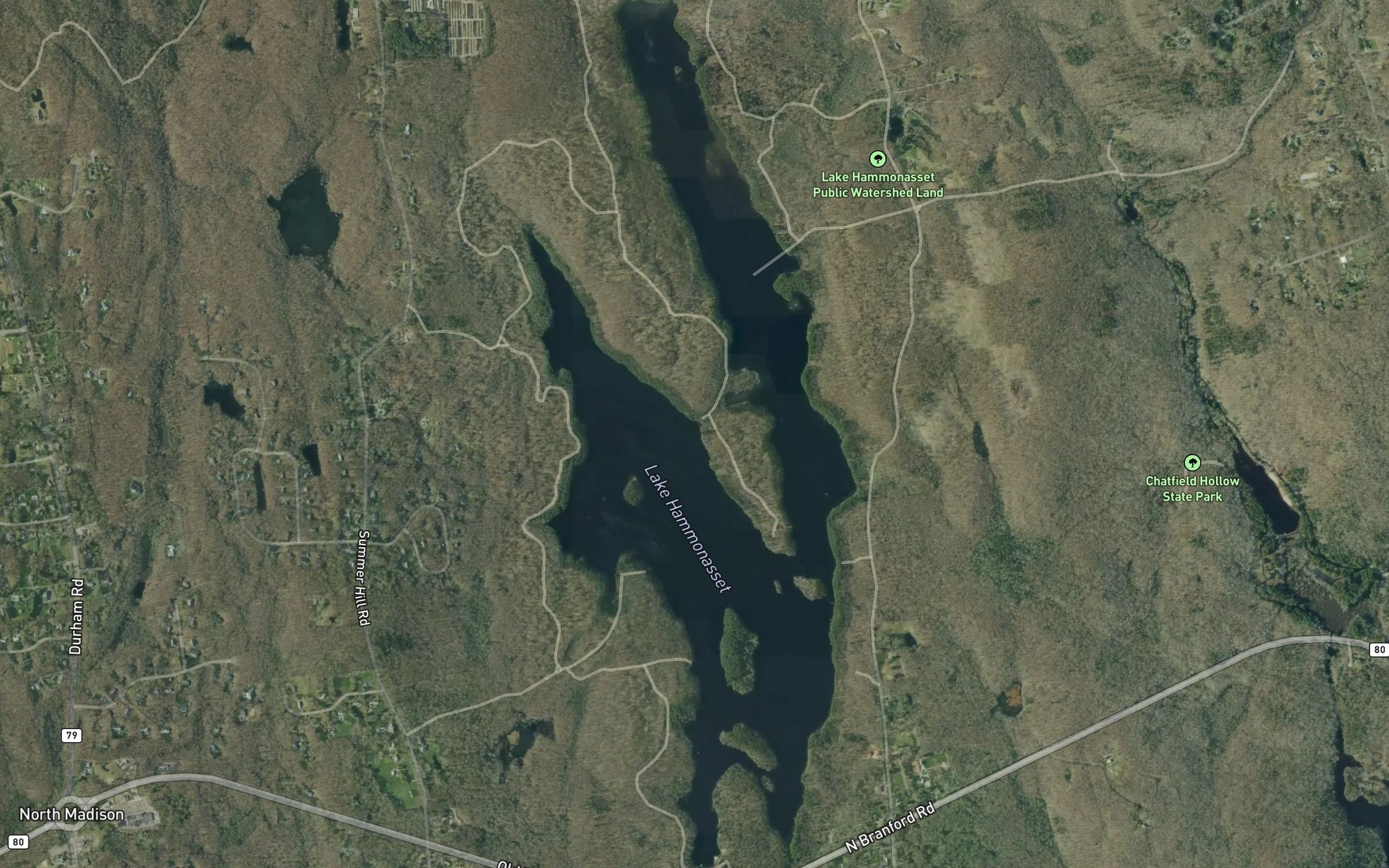 Satellite map of the Lake Hammonasset