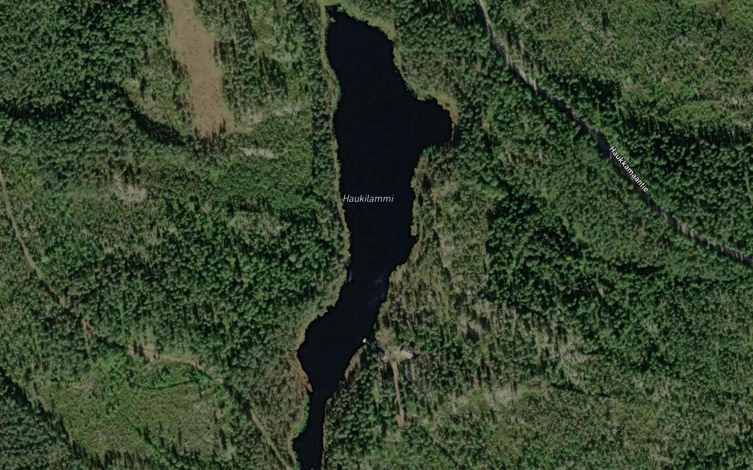 Haukilammi