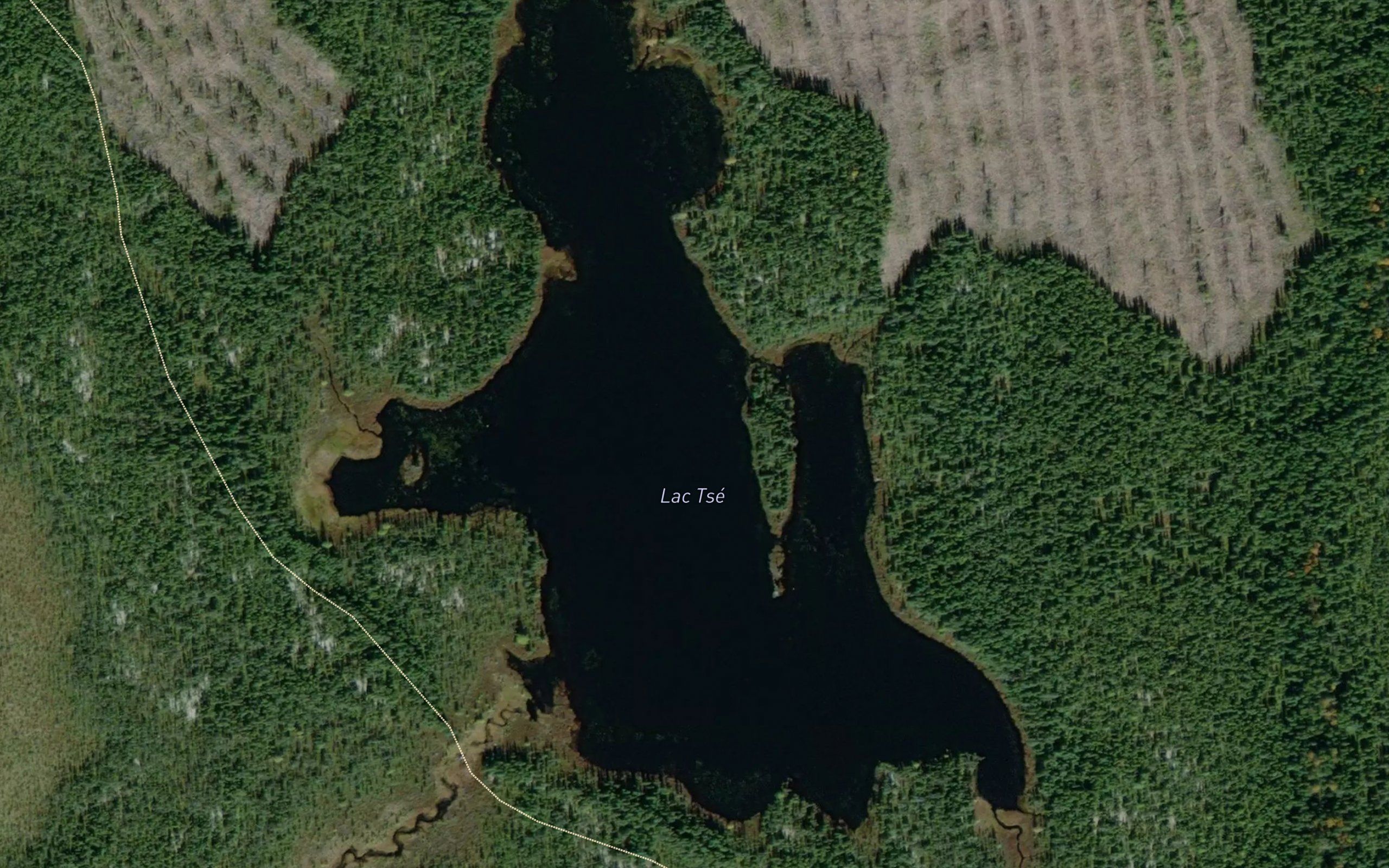 Lac Tse