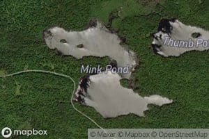 Mink Pond
