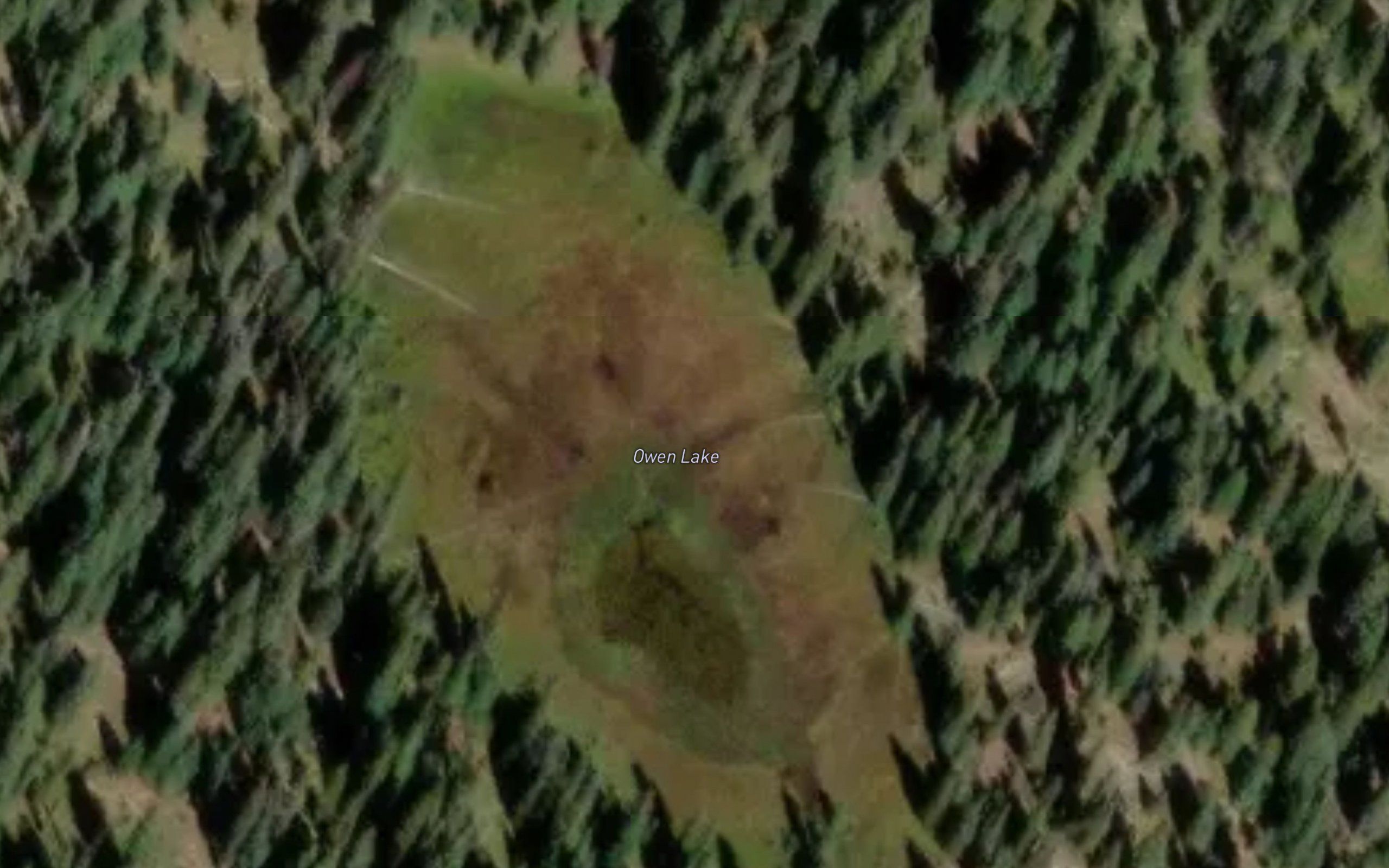 Owen Lake