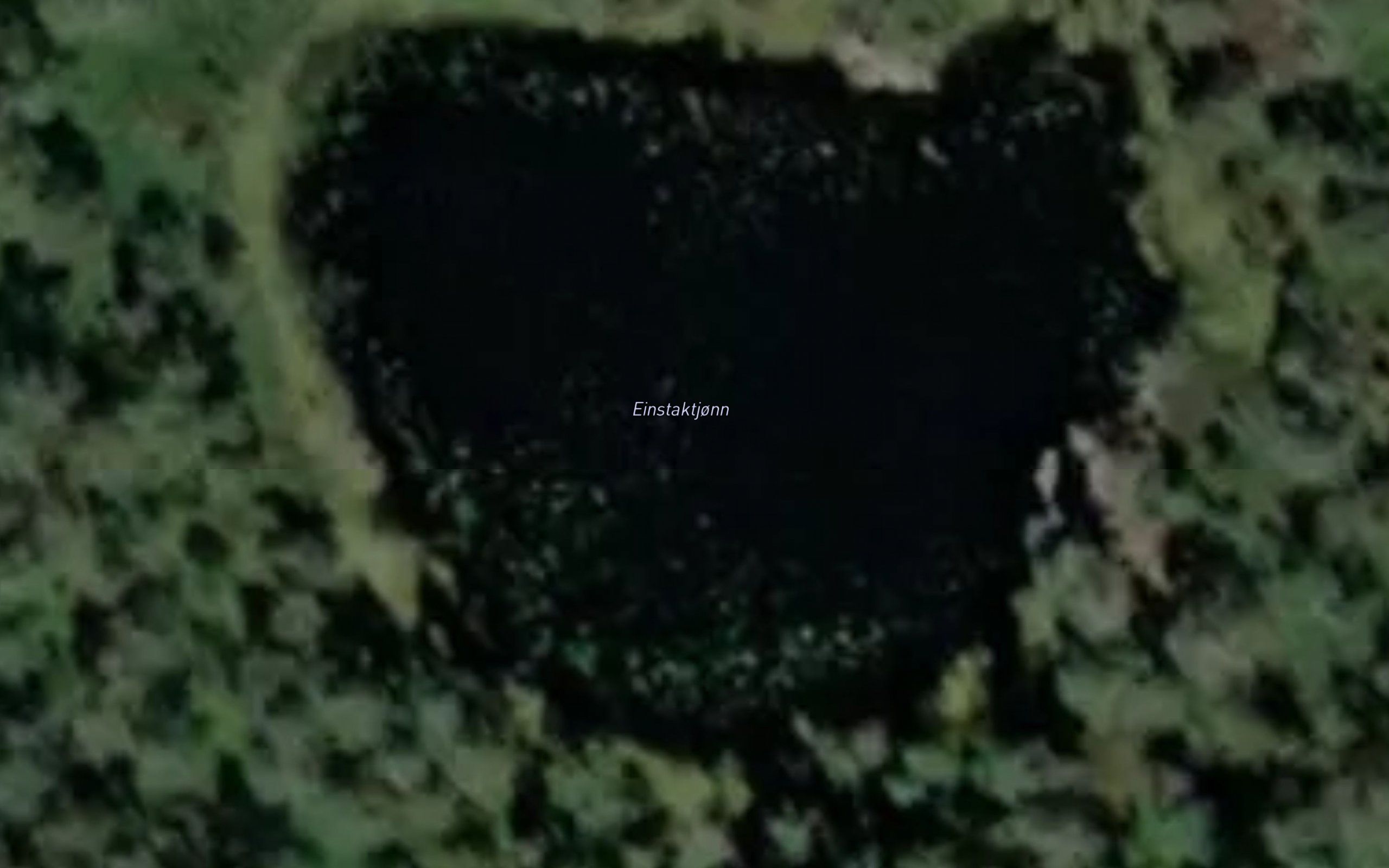 Einstaktjonn