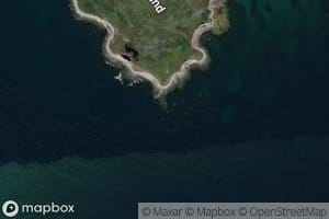 The Reef