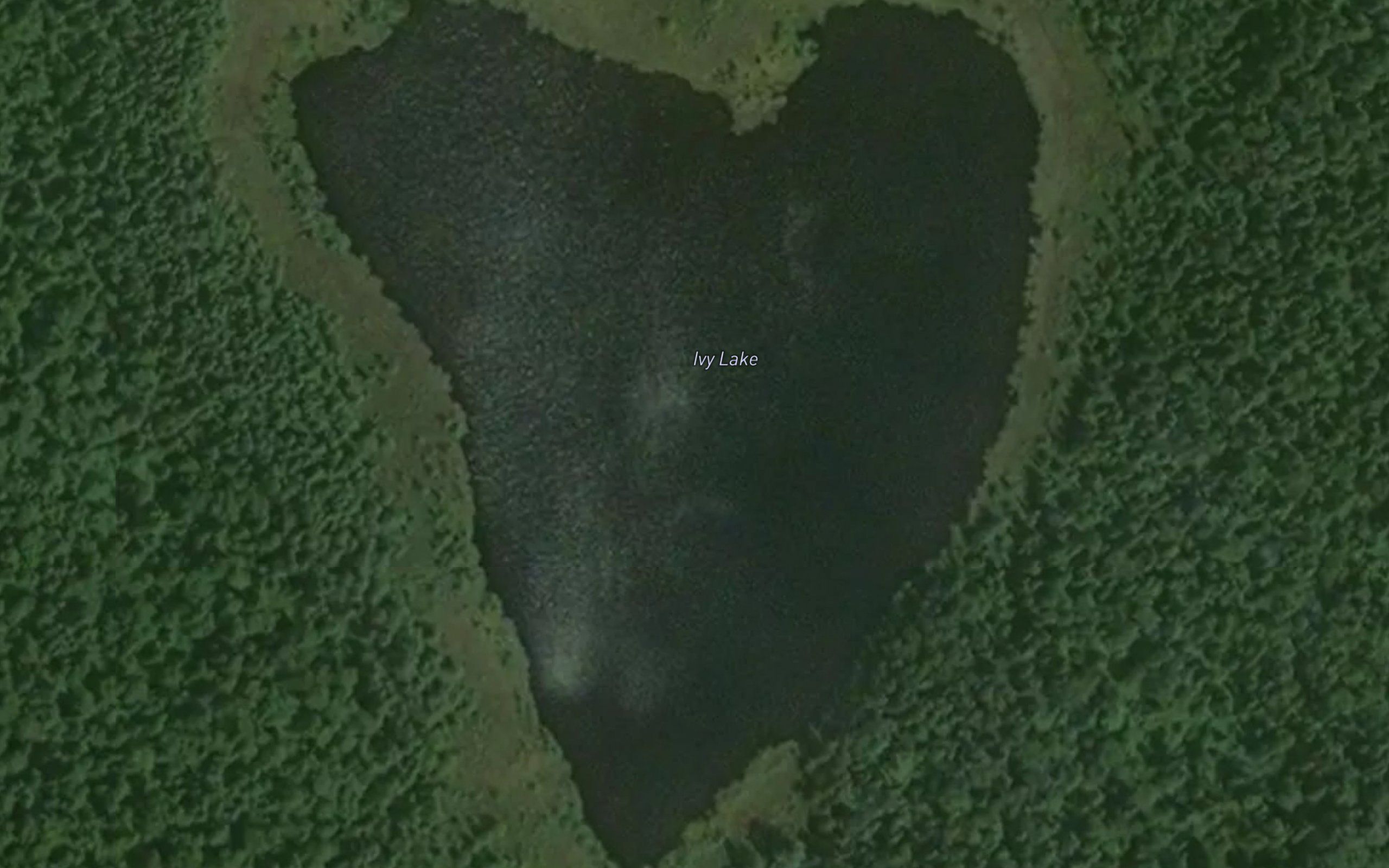 Ivy Lake
