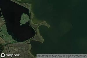 Hog Cove