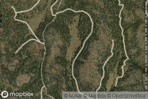 Carmen Spring Number One