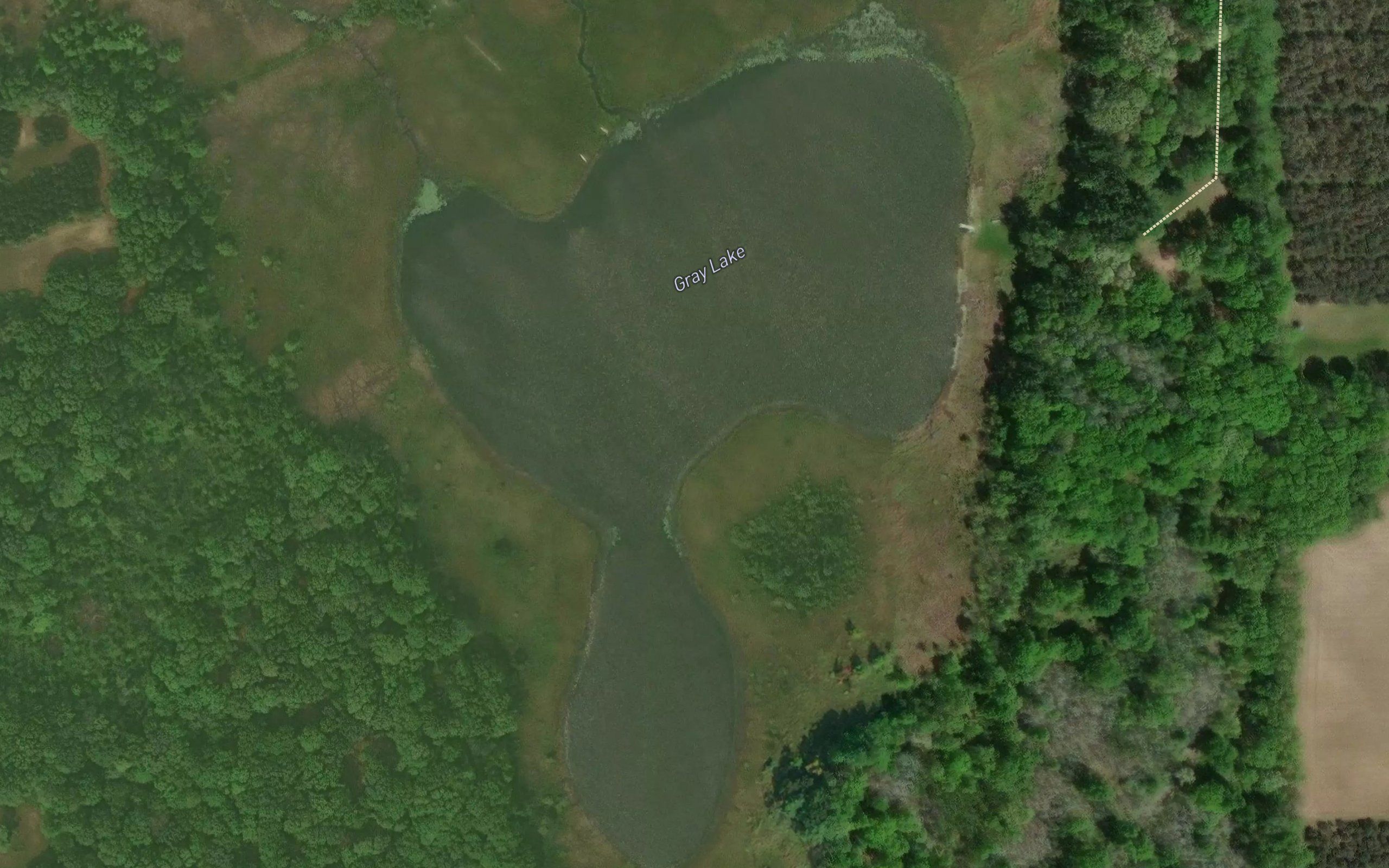 Gray Lake