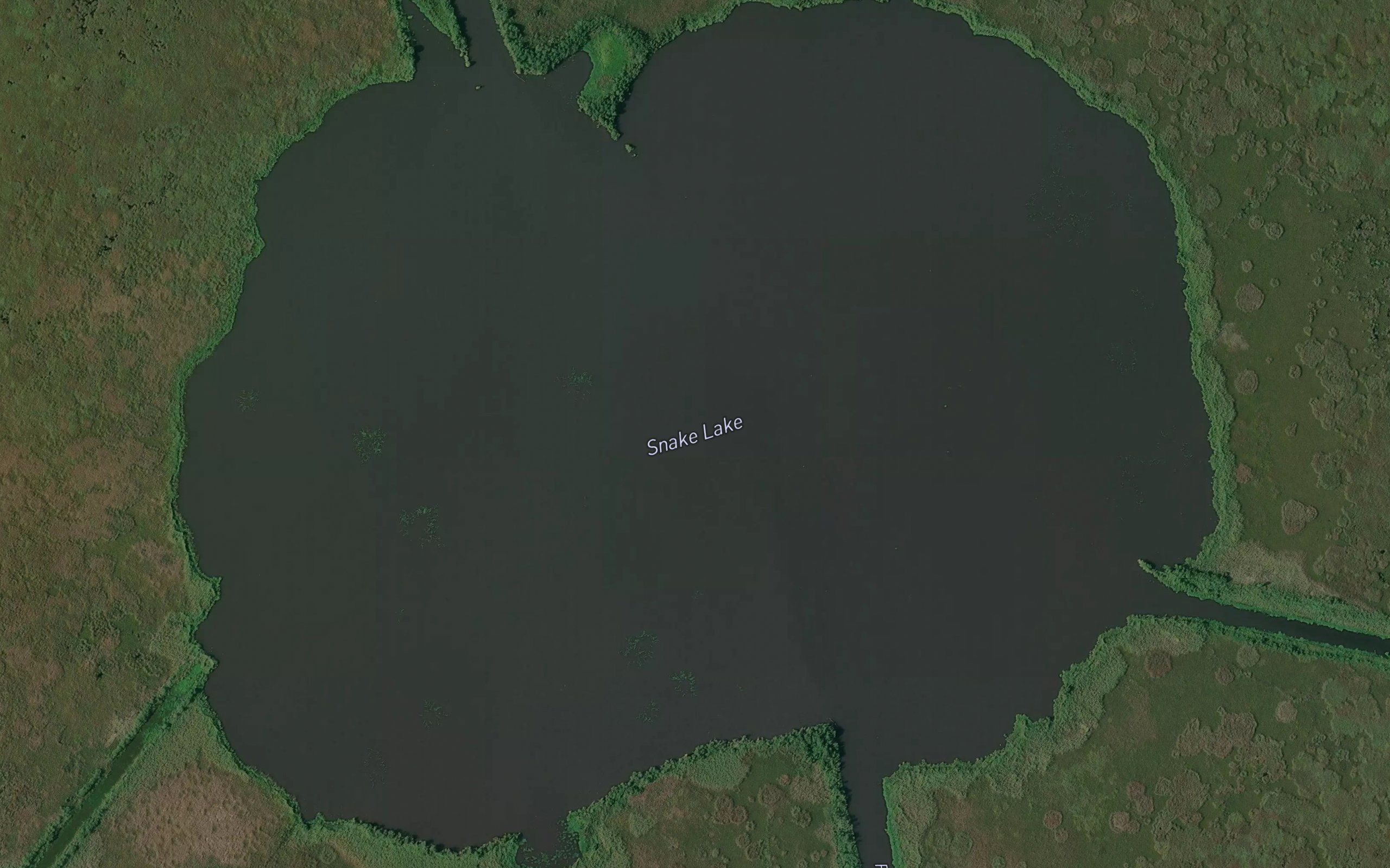 Snake Lake