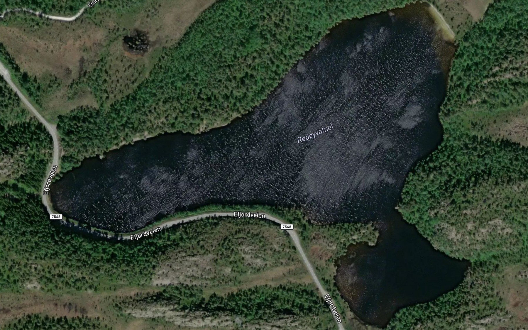 Satellite map of the Rodoyvatnet