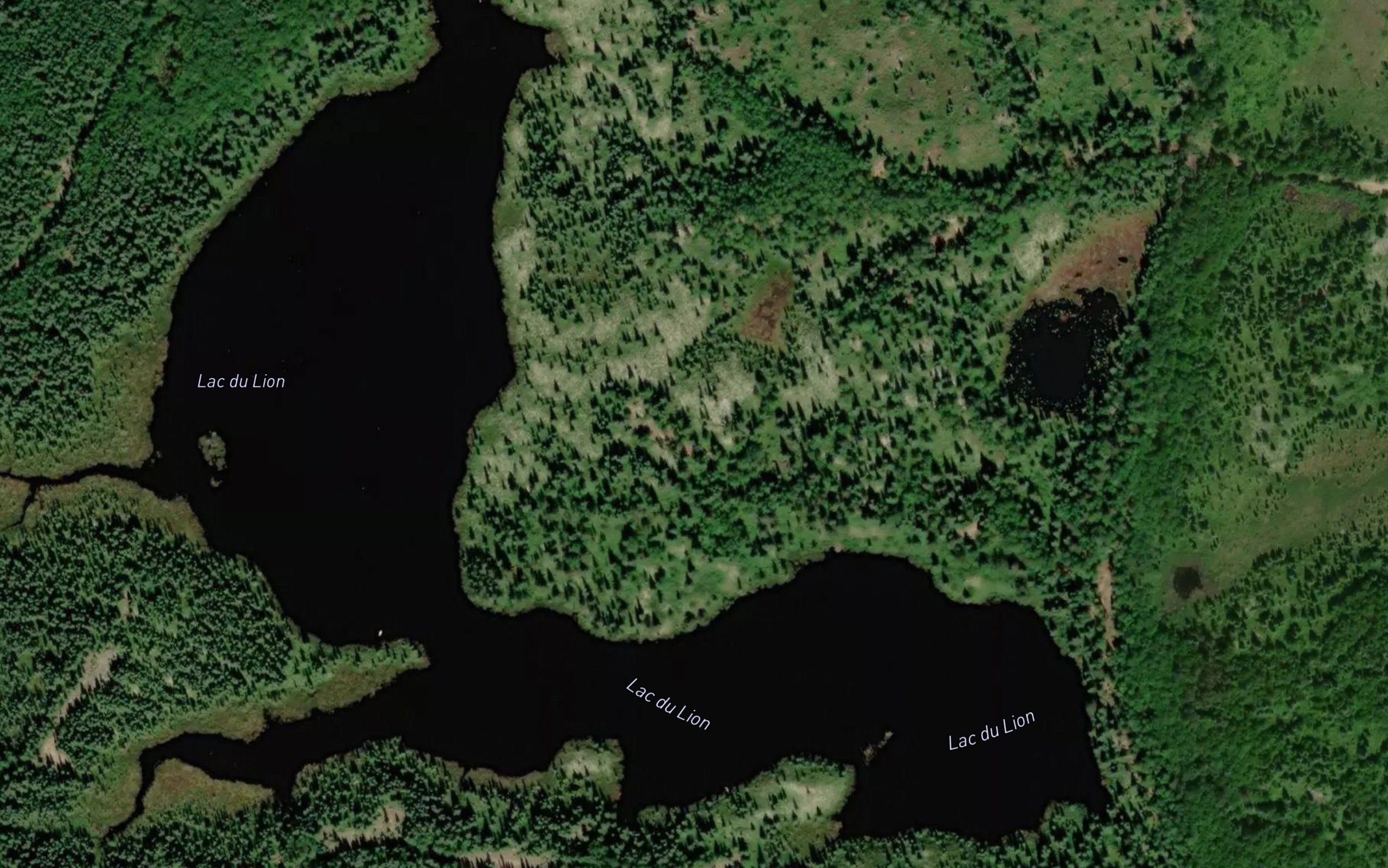 Lac du Lion