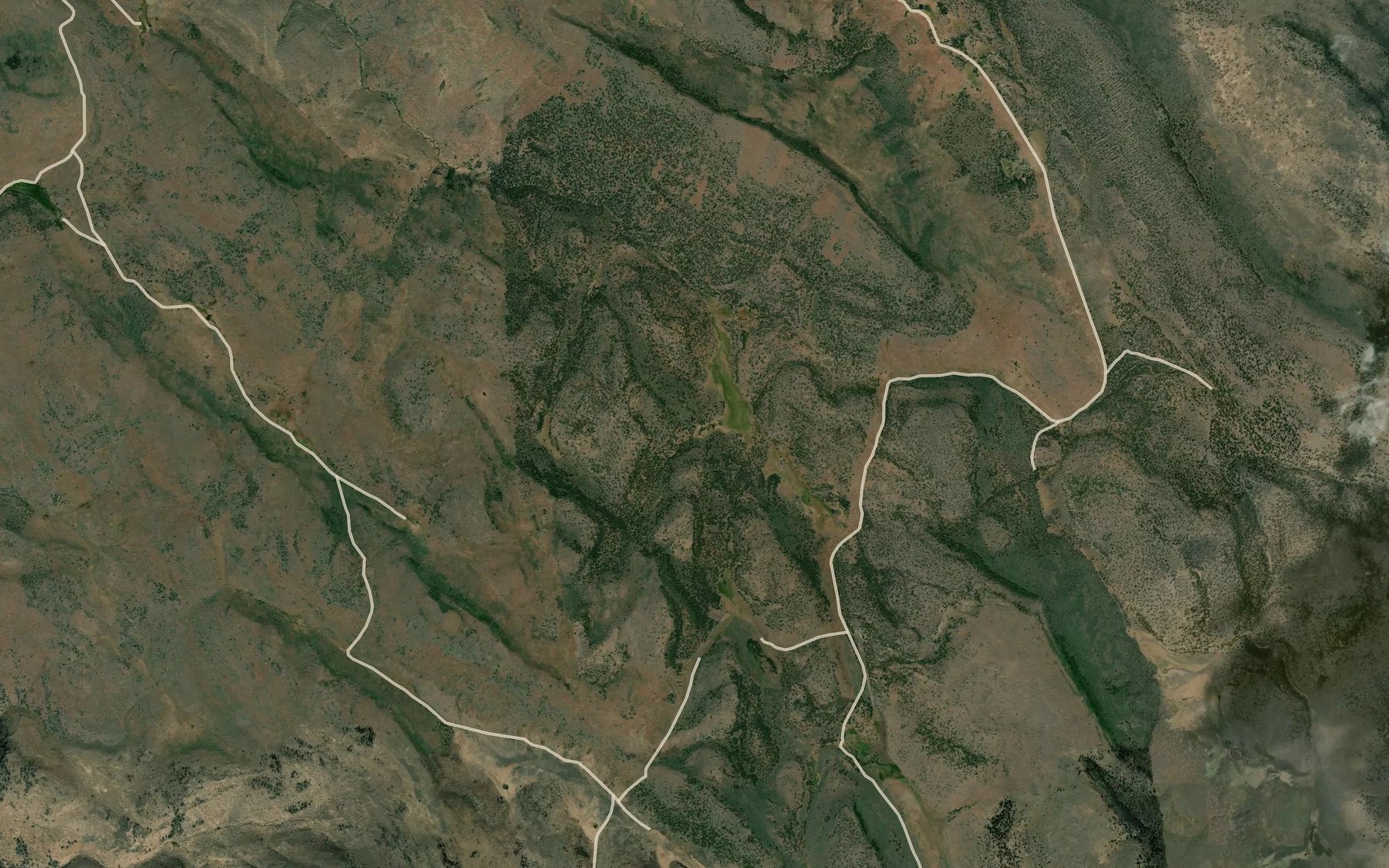 Satellite map of the Upper Paul Creek Spring
