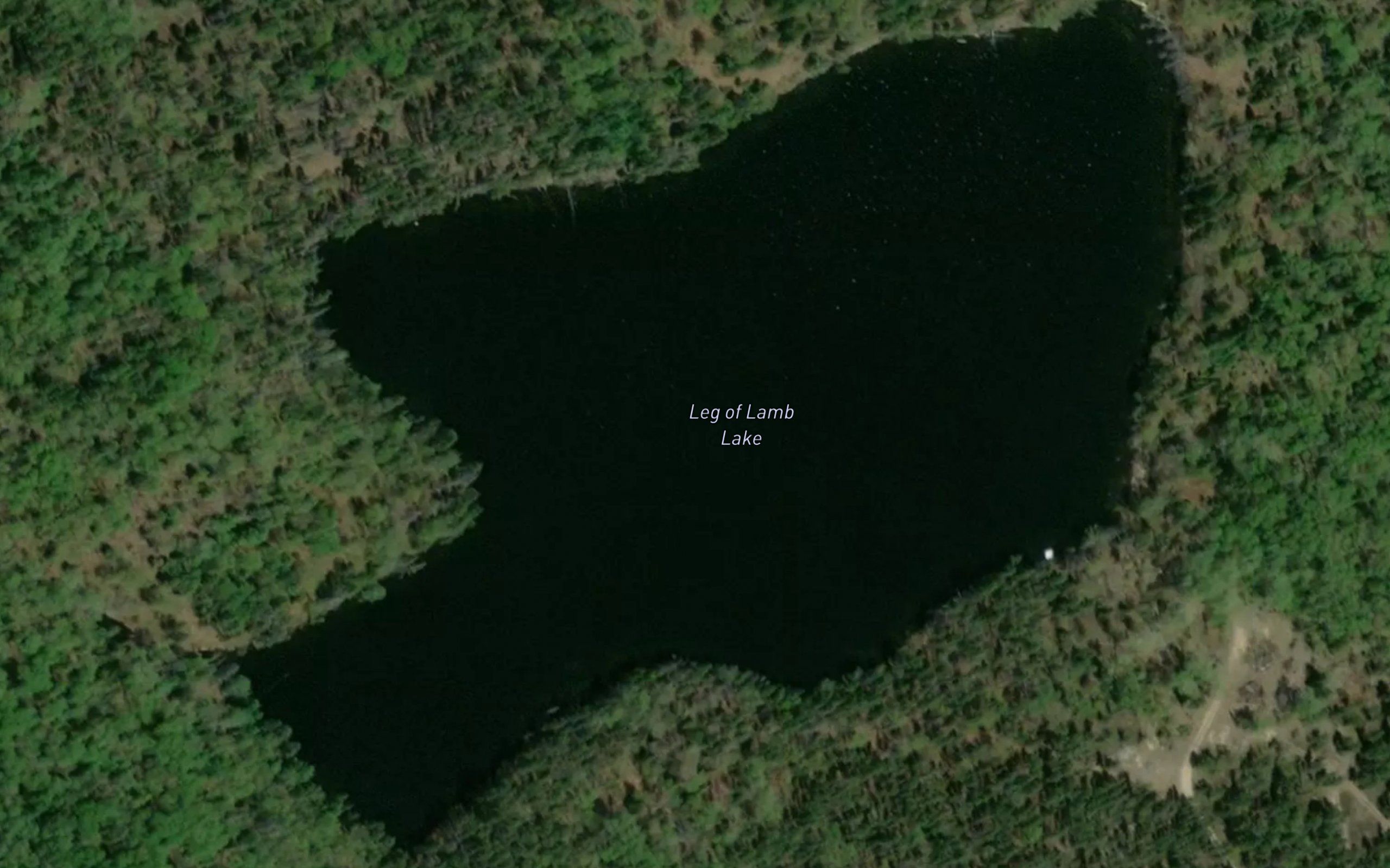 Leg of Lamb Lake