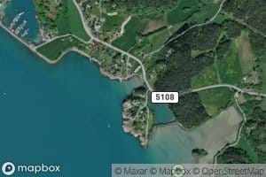 Selsvika