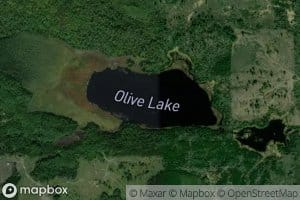 Olive Lake