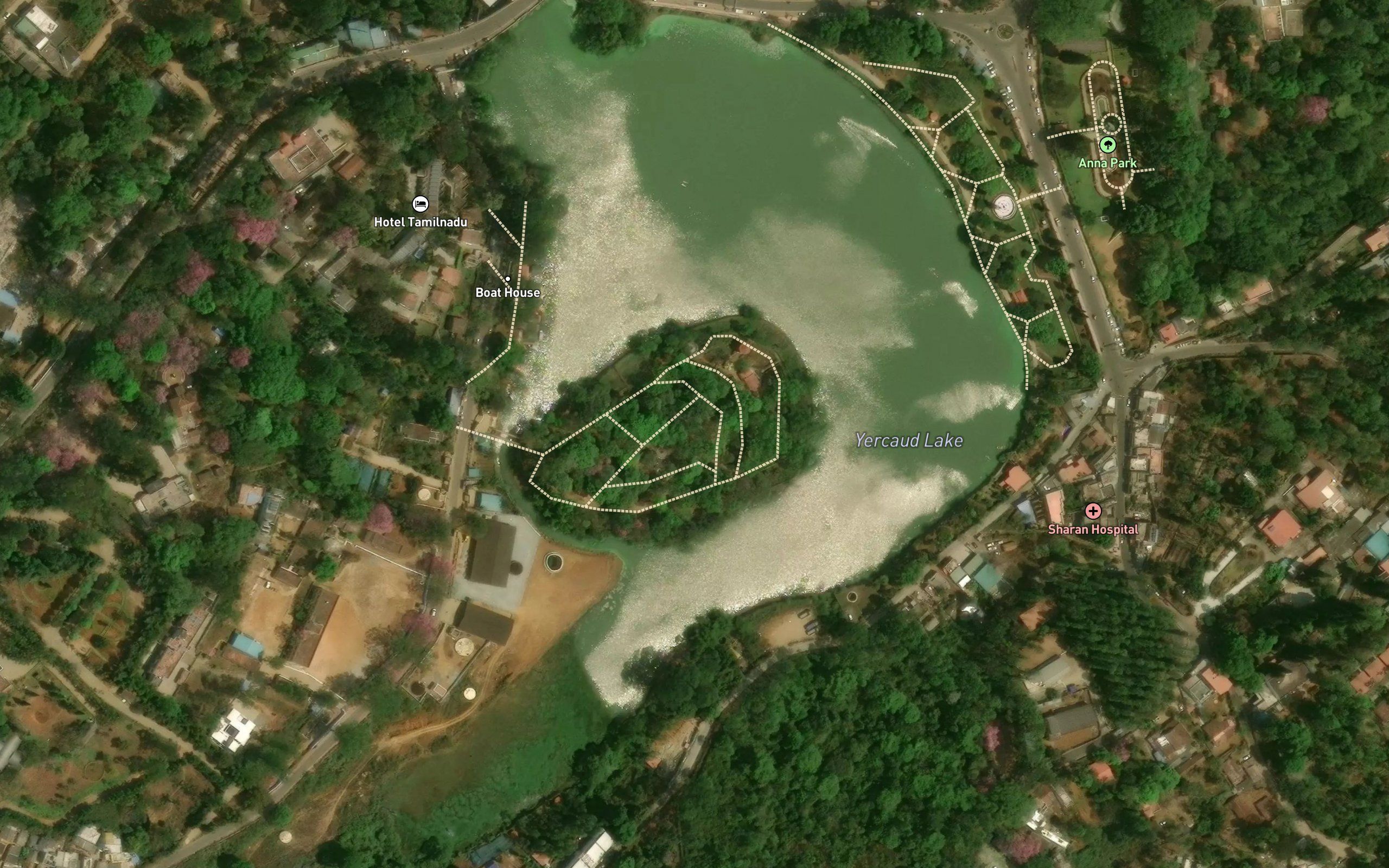 The Lake