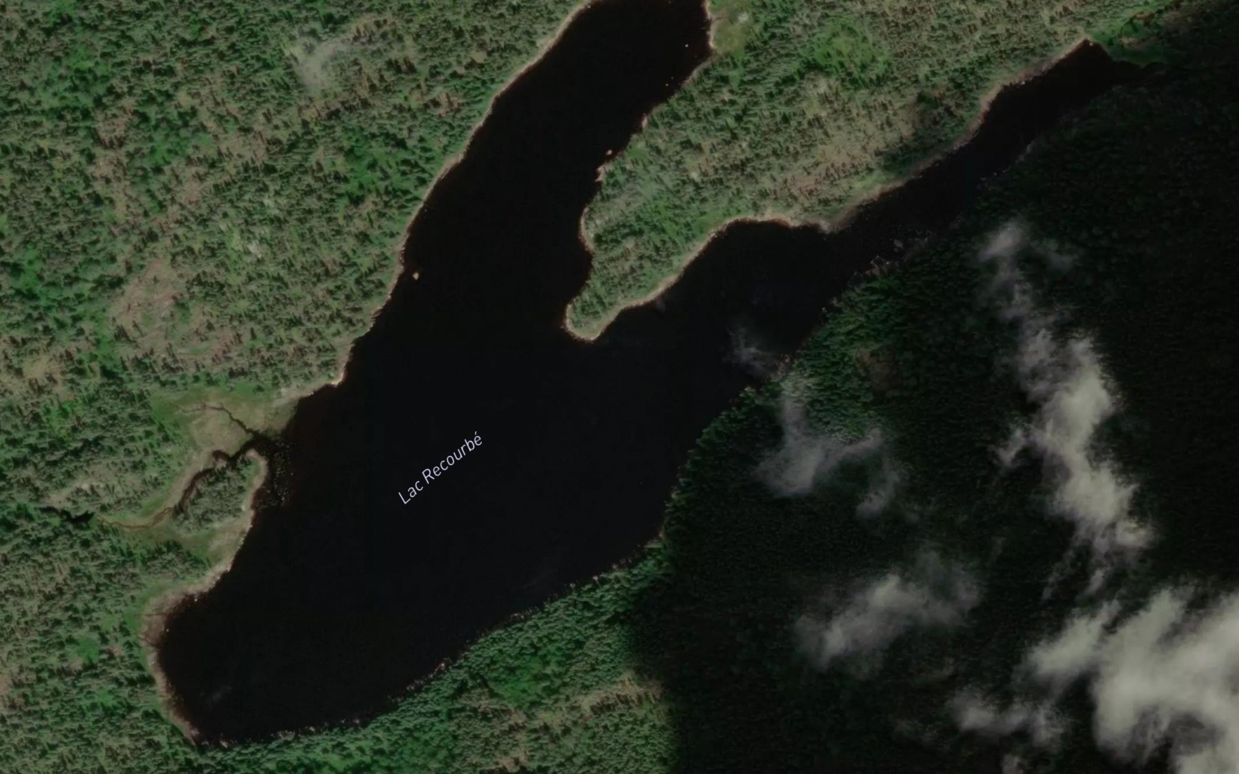 Satellite map of the Lac Recourbe