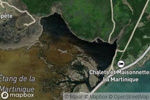 Etang de La Martinique