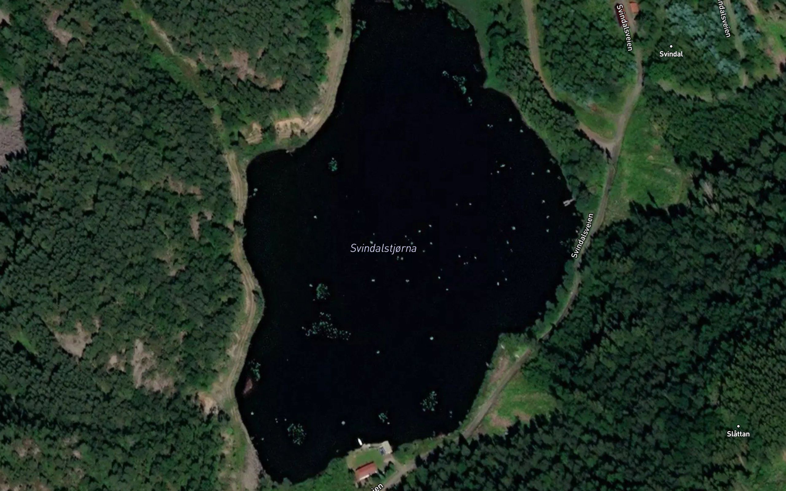 Svindalstjodna