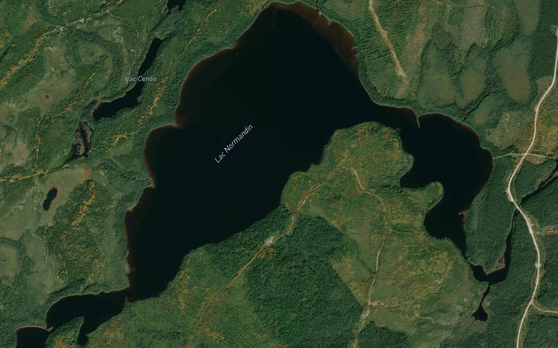 Satellite map of the Lac Normandin