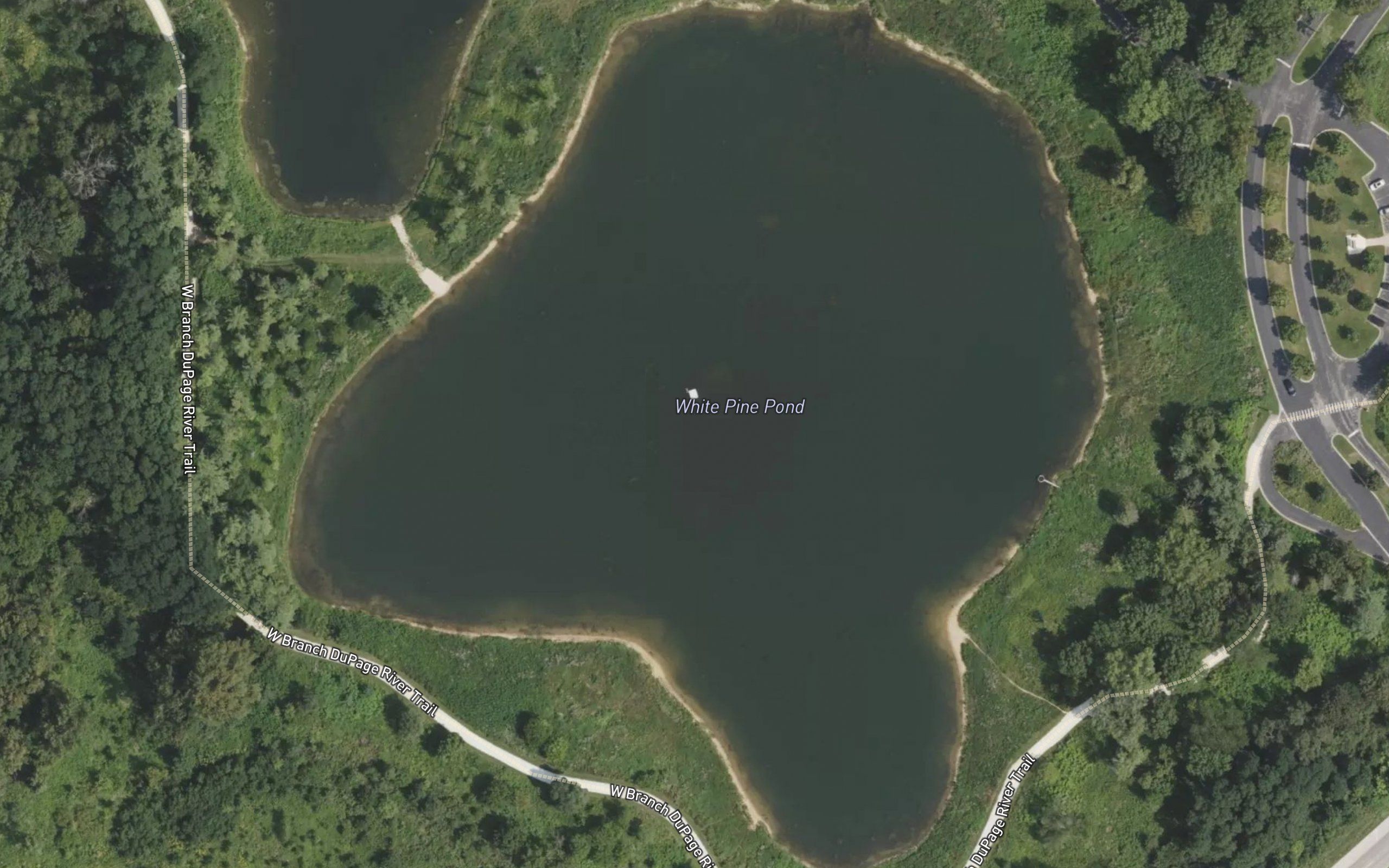 White Pine Pond