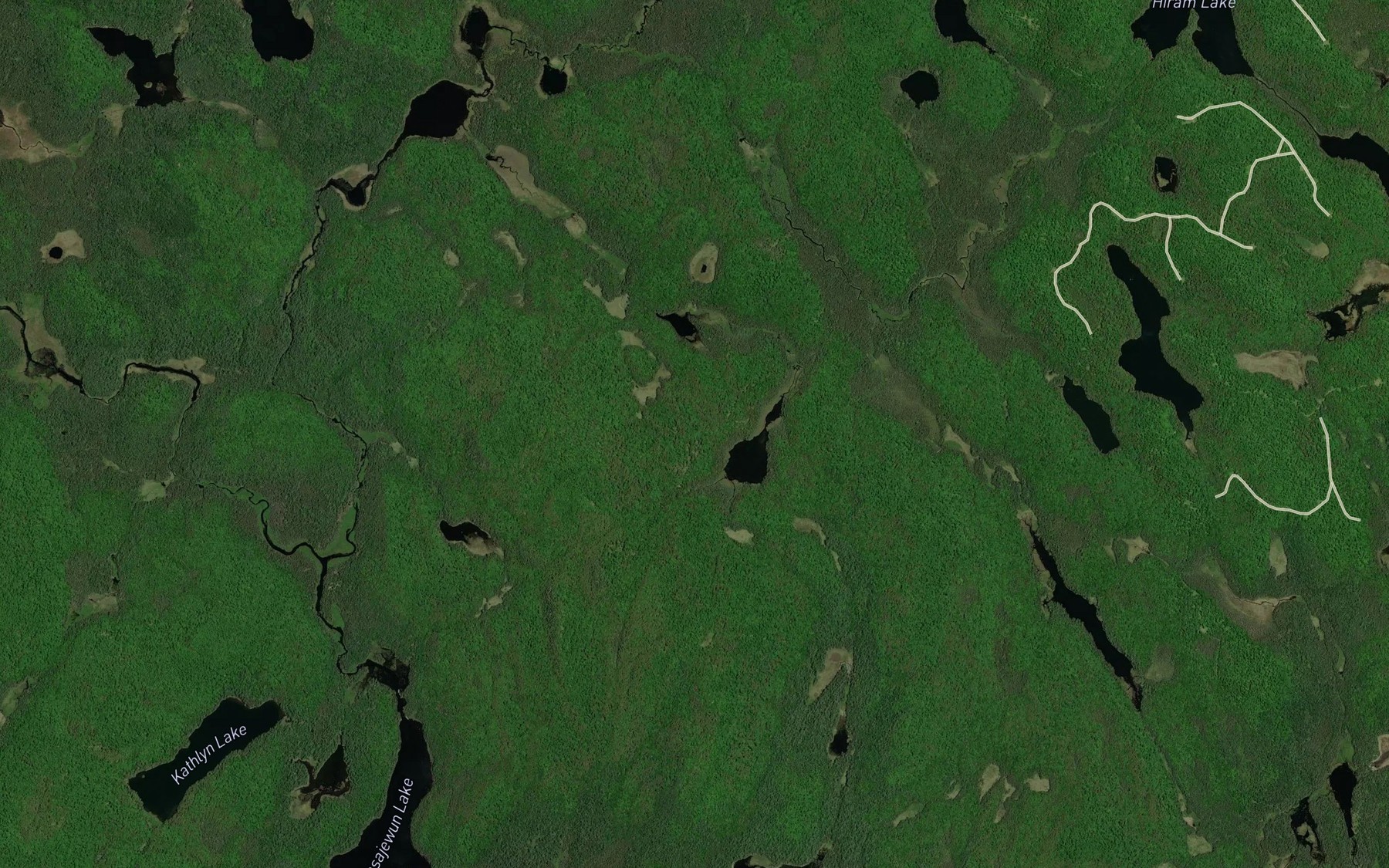 Satellite map of the Edwin Creek