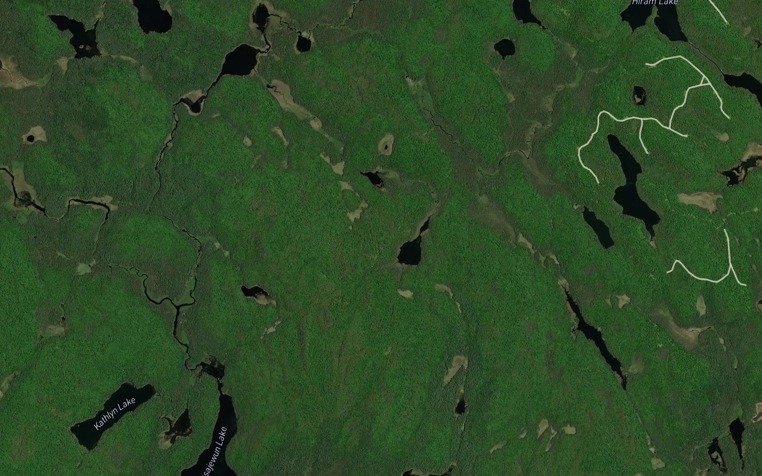 Edwin Creek