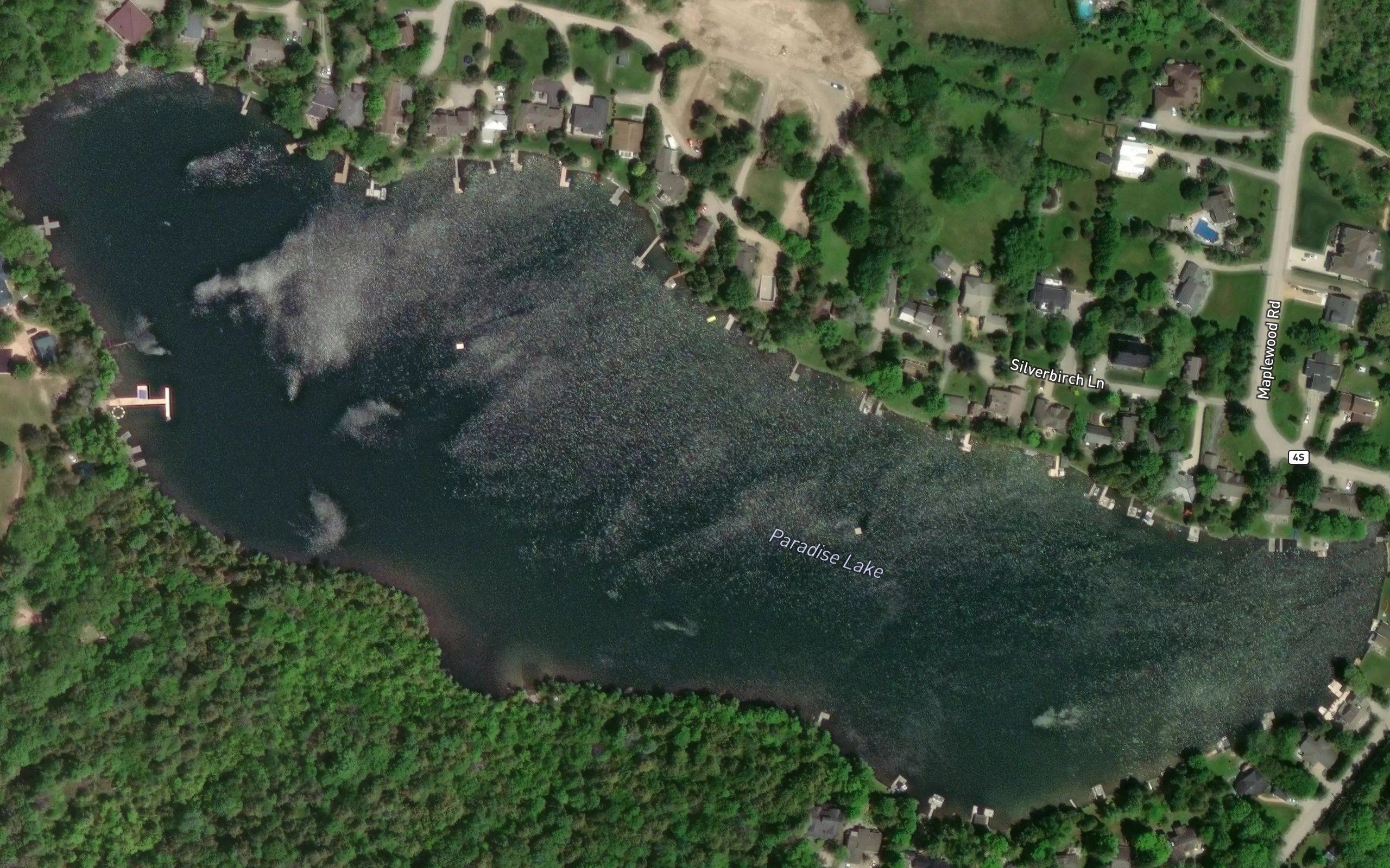 Paradise Lake
