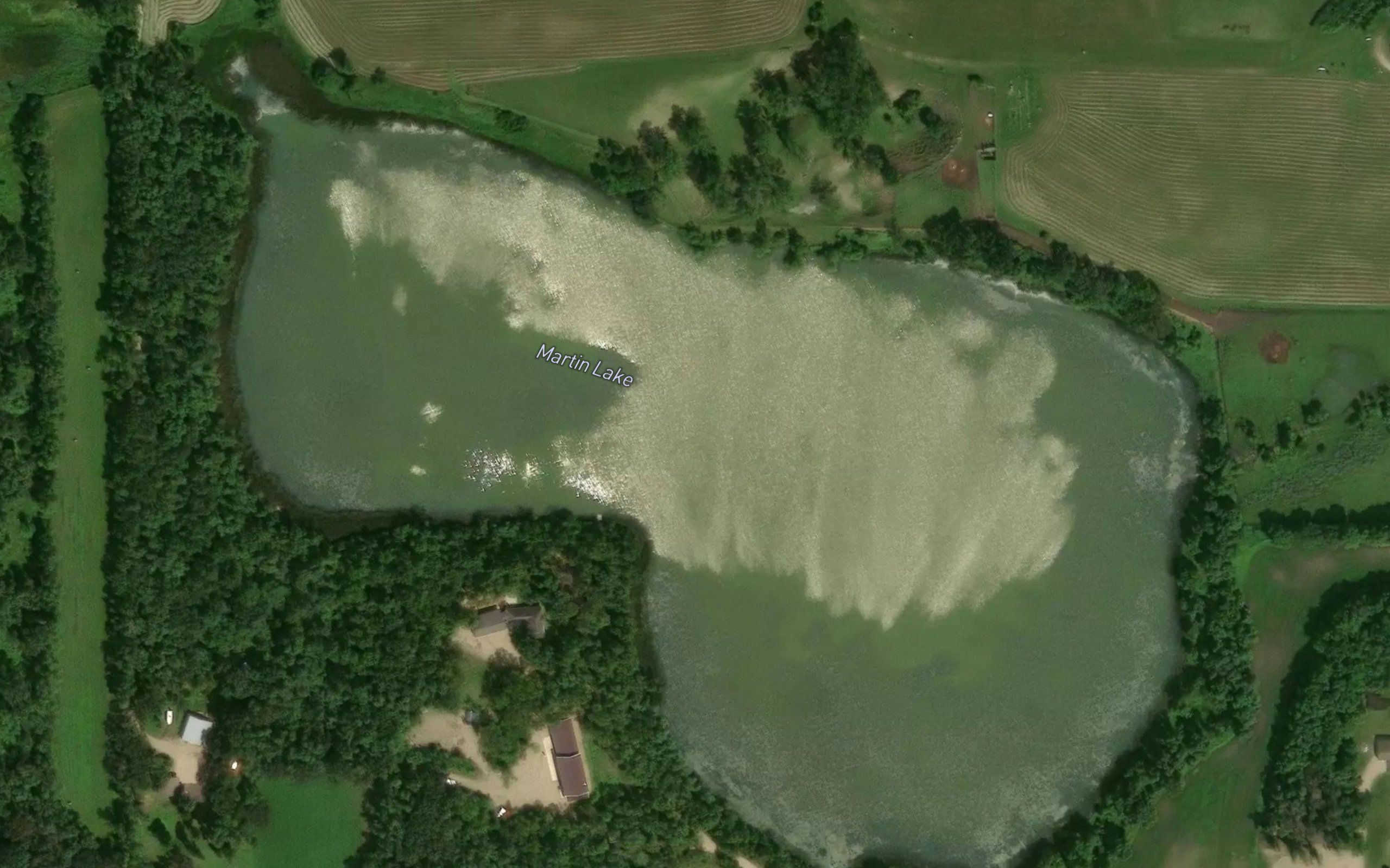 Martin Lake