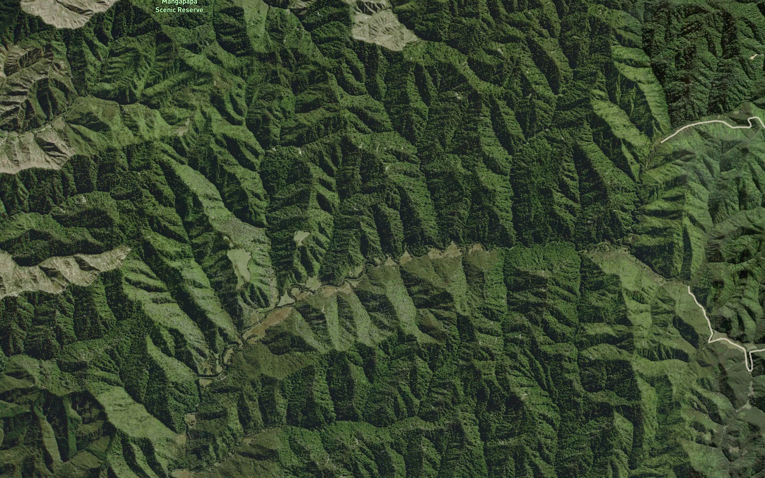 Mangapapa Stream