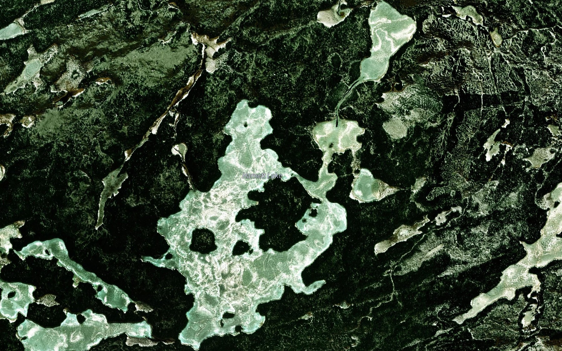 Satellite map of the Harnett Lake