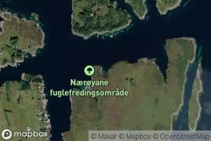 Naustvika