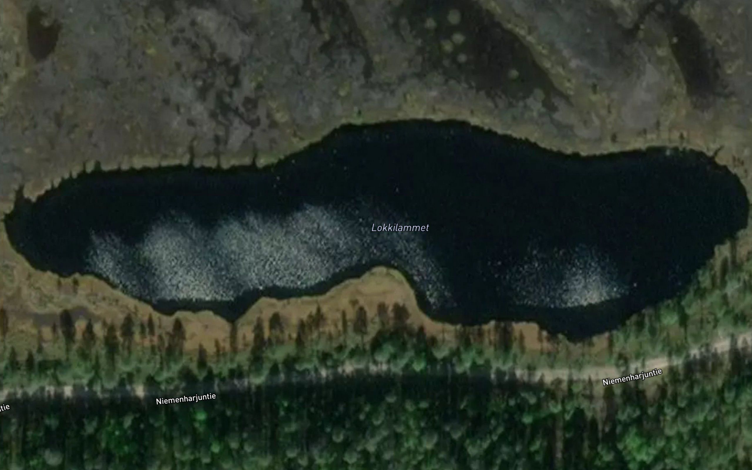 Lokkilammet