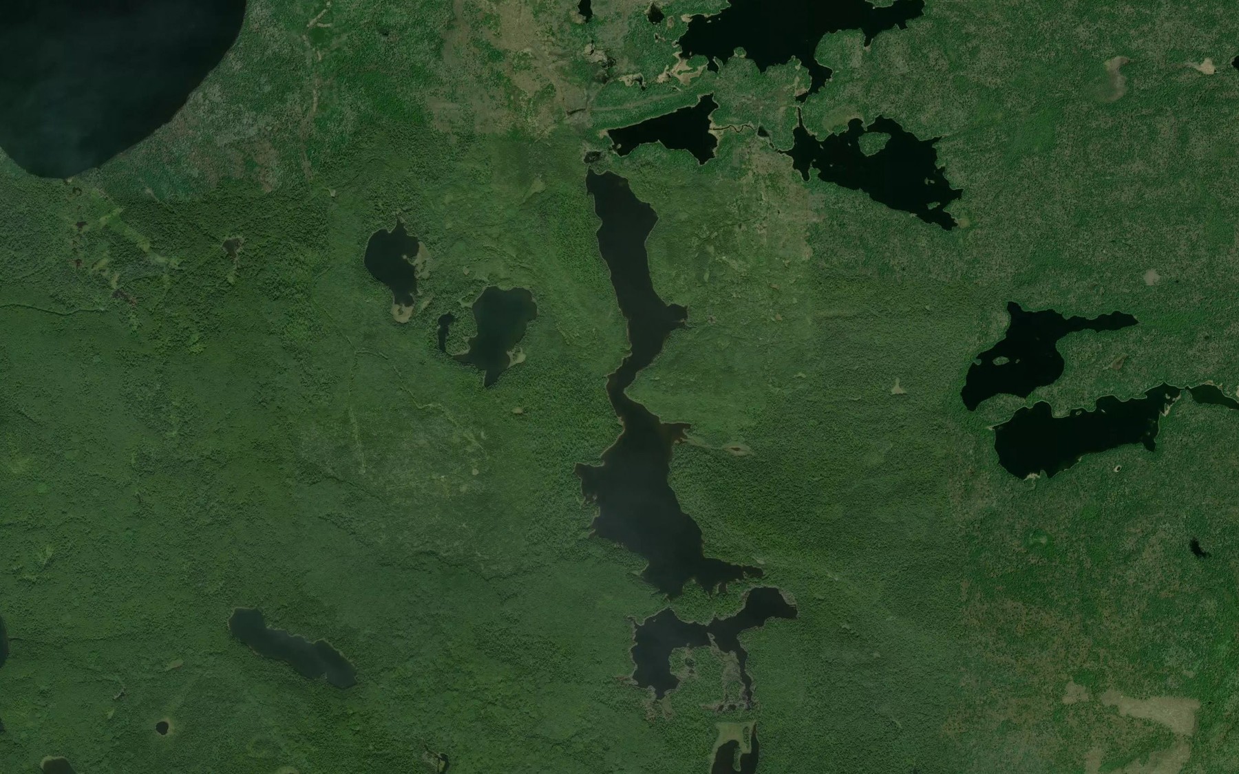 Satellite map of the Shaw Lake