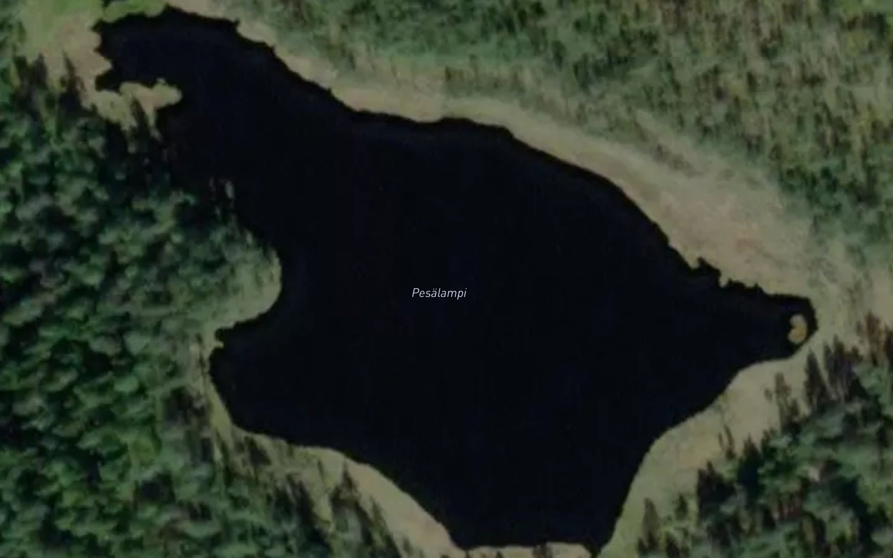 Satellite map of the Pesalampi
