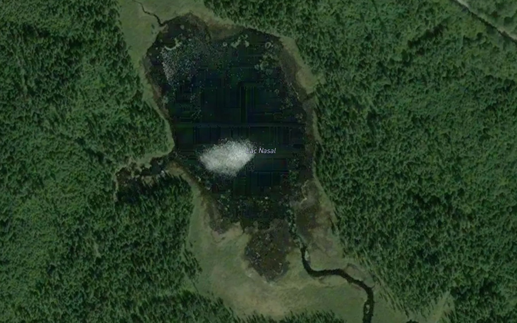 Satellite map of the Lac Nasal