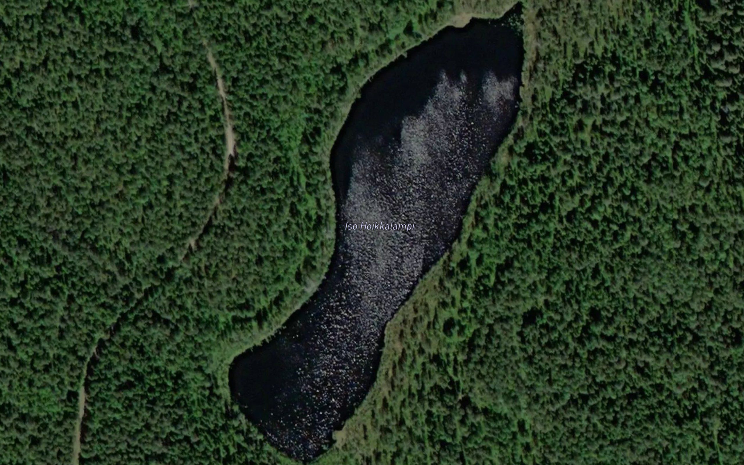 Iso Hoikkalampi