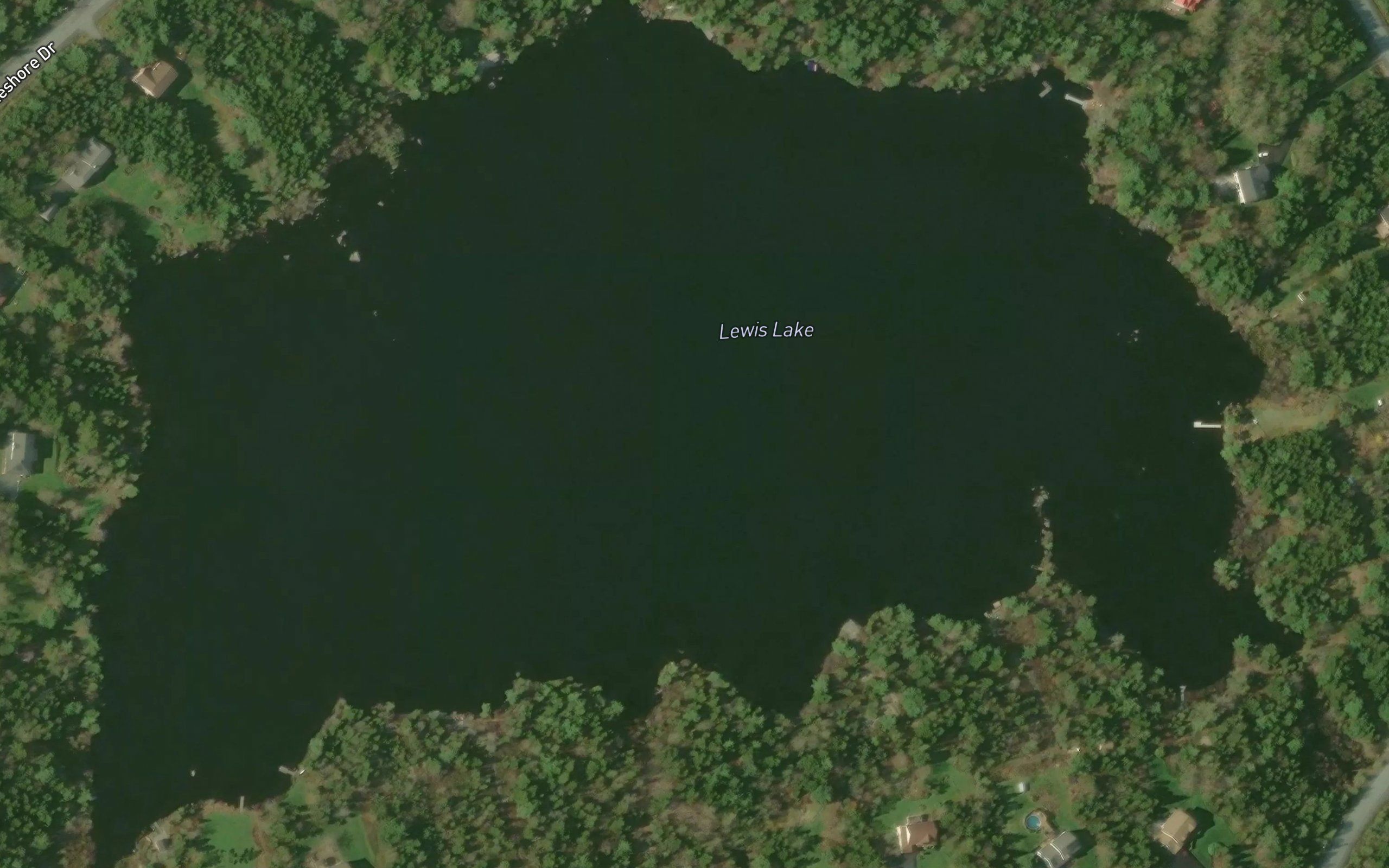 Lewis Lake