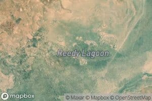 Reedy Lagoon