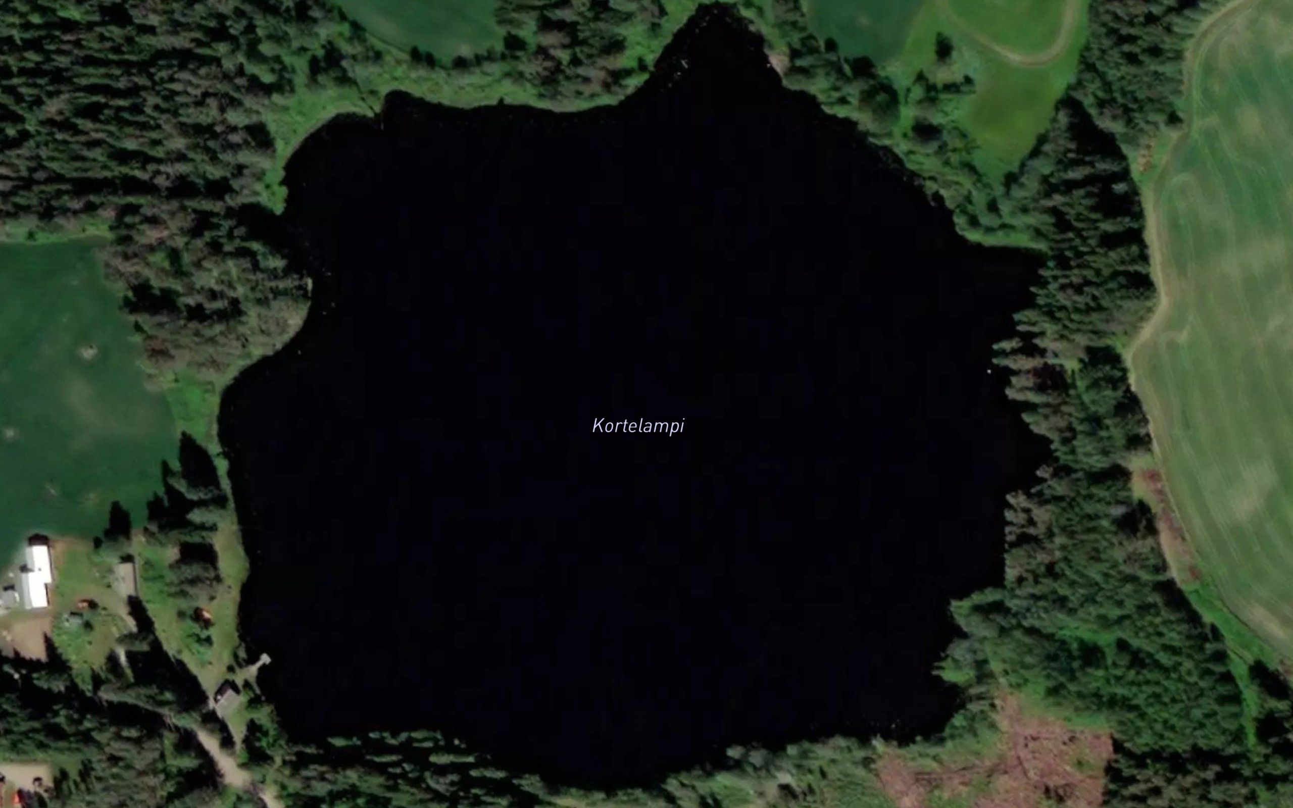 Kortelampi